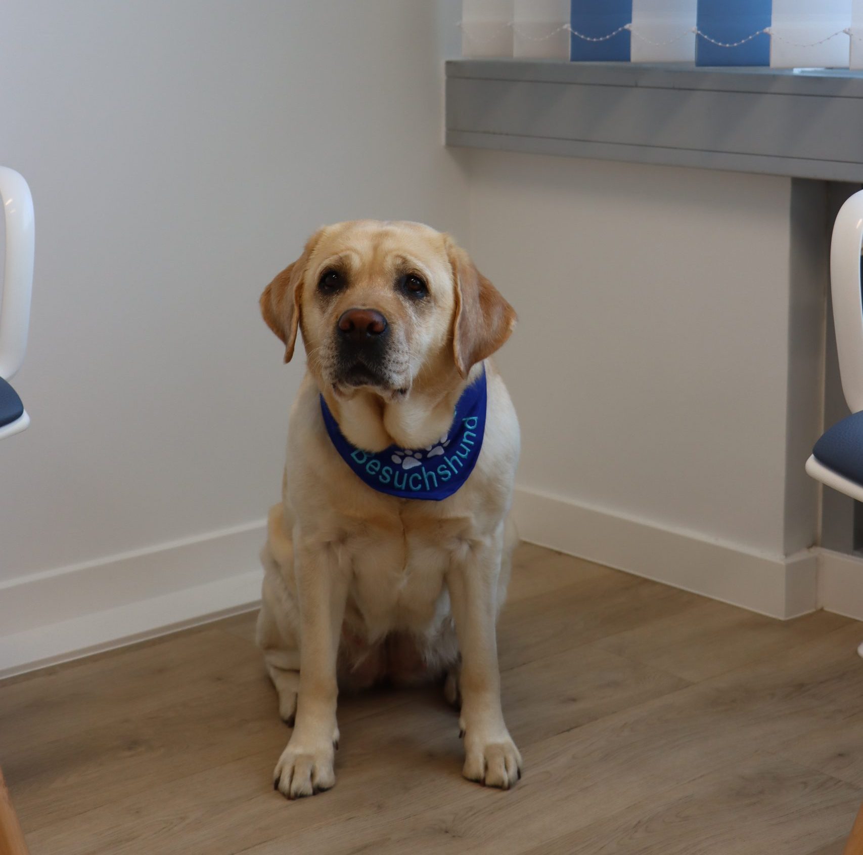 Lillyfee von der Strumpelburg